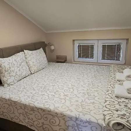 Daire Prenociste Jezerske Zvezde